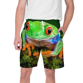 Мужские шорты 3D с принтом Тропическая лягушка в Курске,  полиэстер 100% | прямой крой, два кармана без застежек по бокам. Мягкая трикотажная резинка на поясе, внутри которой широкие завязки. Длина чуть выше колен | зеленая лягушка | лягушка | тропики