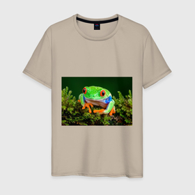 Мужская футболка хлопок с принтом Тропическая лягушка в Белгороде, 100% хлопок | прямой крой, круглый вырез горловины, длина до линии бедер, слегка спущенное плечо. | зеленая лягушка | лягушка | тропики