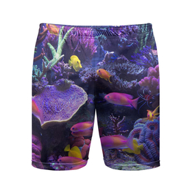 Мужские шорты спортивные с принтом Коралловые рыбки в Екатеринбурге,  |  | дно морское | коралловые | кораллы | море | подводный мир | рыбки