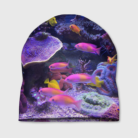 Шапка 3D с принтом Коралловые рыбки , 100% полиэстер | универсальный размер, печать по всей поверхности изделия | дно морское | коралловые | кораллы | море | подводный мир | рыбки