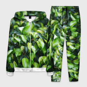 Мужской костюм 3D с принтом Зелёные листья на ветках , 100% полиэстер | Манжеты и пояс оформлены тканевой резинкой, двухслойный капюшон со шнурком для регулировки, карманы спереди | Тематика изображения на принте: 