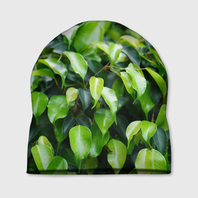 Шапка 3D с принтом Зелёные листья на ветках в Курске, 100% полиэстер | универсальный размер, печать по всей поверхности изделия | 