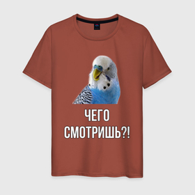 Мужская футболка хлопок с принтом Чего смотришь!? в Новосибирске, 100% хлопок | прямой крой, круглый вырез горловины, длина до линии бедер, слегка спущенное плечо. | bird | birds | parrot | parrots | pet | pets | ара | волнистые попугаи | волнистый попугай | домашние животные | животные | мем | мемы | питомец | питомцы | попугаи | попугай | прикол | приколы | птица | птицы