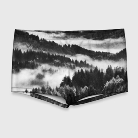 Мужские купальные плавки 3D с принтом ТУМАННЫЙ ЛЕС  МРАЧНЫЙ ЛЕС в Белгороде, Полиэстер 85%, Спандекс 15% |  | Тематика изображения на принте: tegunvteg | деревья | ели | лес | мрачный | природа | туман | туманный