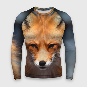 Мужской рашгард 3D с принтом Хитрая лисица в Санкт-Петербурге,  |  | fox | foxy | животное | звери | лиса | лисенок | лисичка | милая | рыжая | фокс