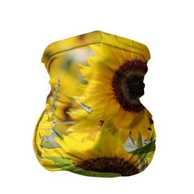 Бандана-труба 3D с принтом Лето в Белгороде, 100% полиэстер, ткань с особыми свойствами — Activecool | плотность 150‒180 г/м2; хорошо тянется, но сохраняет форму | summer | жара | листья | море | песок | подсолнух | солнце | цветы