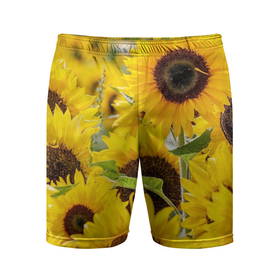 Мужские шорты спортивные с принтом Лето в Курске,  |  | summer | жара | листья | море | песок | подсолнух | солнце | цветы