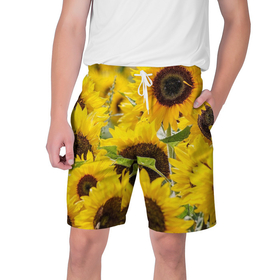 Мужские шорты 3D с принтом Лето ,  полиэстер 100% | прямой крой, два кармана без застежек по бокам. Мягкая трикотажная резинка на поясе, внутри которой широкие завязки. Длина чуть выше колен | Тематика изображения на принте: summer | жара | листья | море | песок | подсолнух | солнце | цветы