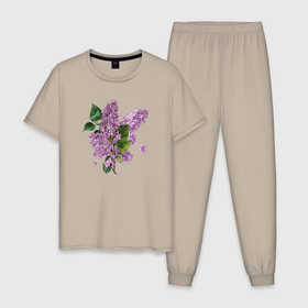 Мужская пижама хлопок с принтом СИРЕНЬ АКВАРЕЛЬЮ в Новосибирске, 100% хлопок | брюки и футболка прямого кроя, без карманов, на брюках мягкая резинка на поясе и по низу штанин
 | акварель | акварельные | акварелью | бабочки | букет | букет из цветов | летние цветы | сиреневые цветы | сирень | цветы