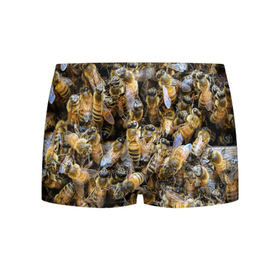 Мужские трусы 3D с принтом Пчёлы в Курске, 50% хлопок, 50% полиэстер | классическая посадка, на поясе мягкая тканевая резинка | живность | животное | животные | насекомое | насекомые | пчела | пчёлка | пчёлки | пчёлы
