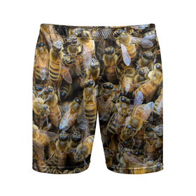 Мужские шорты спортивные с принтом Пчёлы в Белгороде,  |  | живность | животное | животные | насекомое | насекомые | пчела | пчёлка | пчёлки | пчёлы