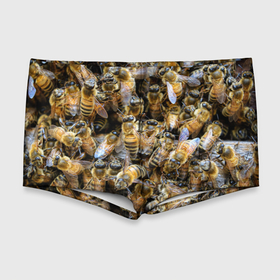 Мужские купальные плавки 3D с принтом Пчёлы в Санкт-Петербурге, Полиэстер 85%, Спандекс 15% |  | живность | животное | животные | насекомое | насекомые | пчела | пчёлка | пчёлки | пчёлы