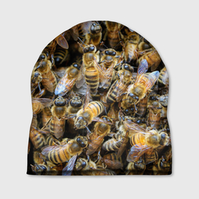 Шапка 3D с принтом Пчёлы , 100% полиэстер | универсальный размер, печать по всей поверхности изделия | живность | животное | животные | насекомое | насекомые | пчела | пчёлка | пчёлки | пчёлы