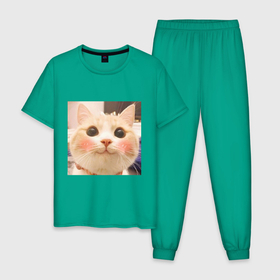 Мужская пижама хлопок с принтом Мем про котов в Курске, 100% хлопок | брюки и футболка прямого кроя, без карманов, на брюках мягкая резинка на поясе и по низу штанин
 | белый | кот | мем | милый | прикол
