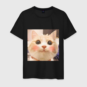 Мужская футболка хлопок с принтом Мем про котов , 100% хлопок | прямой крой, круглый вырез горловины, длина до линии бедер, слегка спущенное плечо. | белый | кот | мем | милый | прикол