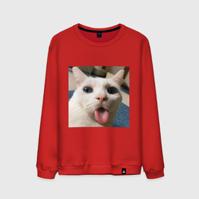 Мужской свитшот хлопок с принтом Мем про кота в Кировске, 100% хлопок |  | белый киса | кашель | кот | мем | мерзость | милый | прикол | эмоции