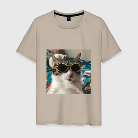 Мужская футболка хлопок с принтом Мем про кота в Тюмени, 100% хлопок | прямой крой, круглый вырез горловины, длина до линии бедер, слегка спущенное плечо. | в очках | киса селфи | кот | мем | милый | прикол