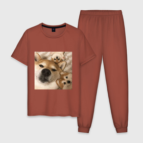 Мужская пижама хлопок с принтом Мем про собак в Кировске, 100% хлопок | брюки и футболка прямого кроя, без карманов, на брюках мягкая резинка на поясе и по низу штанин
 | Тематика изображения на принте: белый | игрушки мягкие | мем | милый | прикол | сиба ину | собака