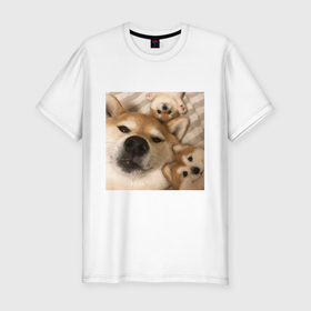Мужская футболка хлопок Slim с принтом Мем про собак в Новосибирске, 92% хлопок, 8% лайкра | приталенный силуэт, круглый вырез ворота, длина до линии бедра, короткий рукав | белый | игрушки мягкие | мем | милый | прикол | сиба ину | собака