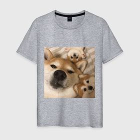 Мужская футболка хлопок с принтом Мем про собак в Кировске, 100% хлопок | прямой крой, круглый вырез горловины, длина до линии бедер, слегка спущенное плечо. | белый | игрушки мягкие | мем | милый | прикол | сиба ину | собака