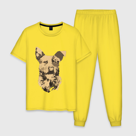 Мужская пижама хлопок с принтом FC5: Бумер в Кировске, 100% хлопок | брюки и футболка прямого кроя, без карманов, на брюках мягкая резинка на поясе и по низу штанин
 | fc5 | бумер | животные | пёс | собака