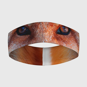 Повязка на голову 3D с принтом Мордочка лисы в Тюмени,  |  | fox | foxy | животное | звери | лиса | лисенок | лисичка | милая | рыжая | фокс