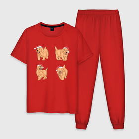 Мужская пижама хлопок с принтом Рождественский пес в Кировске, 100% хлопок | брюки и футболка прямого кроя, без карманов, на брюках мягкая резинка на поясе и по низу штанин
 | Тематика изображения на принте: лабрадор | праздник | рождество | собака | щенок