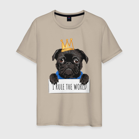 Мужская футболка хлопок с принтом Собака мопс в короне в Тюмени, 100% хлопок | прямой крой, круглый вырез горловины, длина до линии бедер, слегка спущенное плечо. | dog | животное | корона | мопс | собака | собаки | щенок