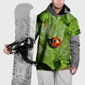 Накидка на куртку 3D с принтом Божья коровка на листке в Санкт-Петербурге, 100% полиэстер |  | 