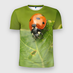 Мужская футболка 3D спортивная с принтом Божья коровка в Курске, 100% полиэстер с улучшенными характеристиками | приталенный силуэт, круглая горловина, широкие плечи, сужается к линии бедра | божья | жук | жуки | жучки | жучок | зелень | коровка | лист | листок | листья | насекомое | насекомые | природа | пятнистые | пятнистый | растение | растения | фауна | флора