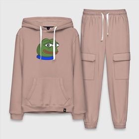 Мужской костюм хлопок с толстовкой с принтом Лягушонок Пепе в Рязани,  |  | pepe | лягушонок | пепа | пепе