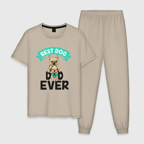 Мужская пижама хлопок с принтом Best Dog, Dad Ever в Белгороде, 100% хлопок | брюки и футболка прямого кроя, без карманов, на брюках мягкая резинка на поясе и по низу штанин
 | dog | иллюстрация | лучший | отец | пес