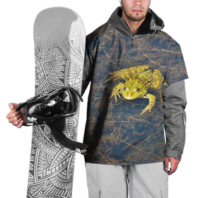 Накидка на куртку 3D с принтом Лягушка в Кировске, 100% полиэстер |  | болота | болотные | болотный | болото | водоём | водоёмы | животное | животные | лягушка | лягушки | природа | фауна | флора