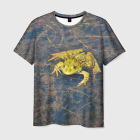 Мужская футболка 3D с принтом Лягушка в Курске, 100% полиэфир | прямой крой, круглый вырез горловины, длина до линии бедер | болота | болотные | болотный | болото | водоём | водоёмы | животное | животные | лягушка | лягушки | природа | фауна | флора