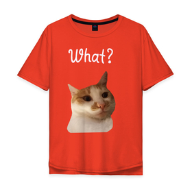 Мужская футболка хлопок Oversize с принтом The shusha What? в Санкт-Петербурге, 100% хлопок | свободный крой, круглый ворот, “спинка” длиннее передней части | Тематика изображения на принте: cat | shusha | what | кошка | что