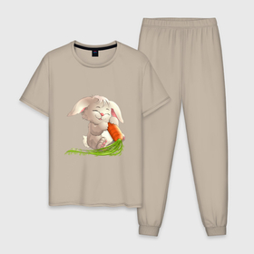 Мужская пижама хлопок с принтом Солнышко с морковкой в Новосибирске, 100% хлопок | брюки и футболка прямого кроя, без карманов, на брюках мягкая резинка на поясе и по низу штанин
 | Тематика изображения на принте: животное | зайчик | заяц | зверь | кролик | морковка | пушистый | серый зайка | уши | хвост