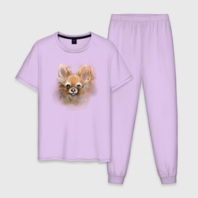 Мужская пижама хлопок с принтом Собака Чиихуахуа , 100% хлопок | брюки и футболка прямого кроя, без карманов, на брюках мягкая резинка на поясе и по низу штанин
 | dog | маленькая_собака | рыжая | собака | чихуахуа