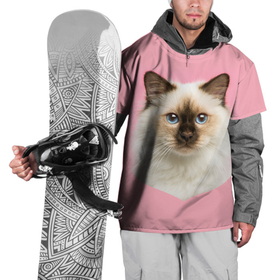 Накидка на куртку 3D с принтом Пушистый кот в Тюмени, 100% полиэстер |  | Тематика изображения на принте: белоснежный | взгляд | глаза | голубоглазый | киса | киска | кот | котик | котяра | профиль | пушистый | усы | уши