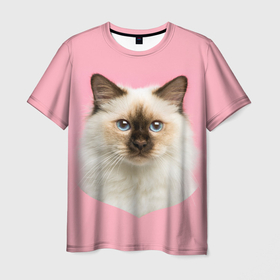 Мужская футболка 3D с принтом Пушистый кот в Белгороде, 100% полиэфир | прямой крой, круглый вырез горловины, длина до линии бедер | белоснежный | взгляд | глаза | голубоглазый | киса | киска | кот | котик | котяра | профиль | пушистый | усы | уши