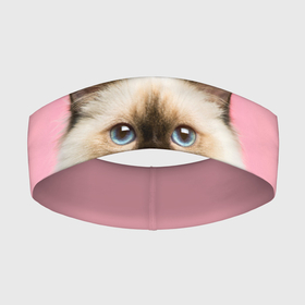 Повязка на голову 3D с принтом Пушистый кот в Екатеринбурге,  |  | белоснежный | взгляд | глаза | голубоглазый | киса | киска | кот | котик | котяра | профиль | пушистый | усы | уши
