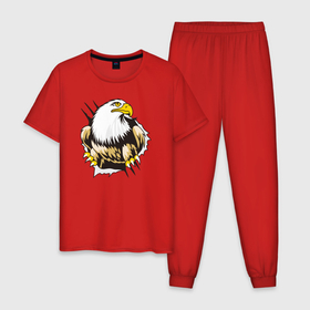 Мужская пижама хлопок с принтом Орел 3D в Петрозаводске, 100% хлопок | брюки и футболка прямого кроя, без карманов, на брюках мягкая резинка на поясе и по низу штанин
 | eagle | орел | орленок | орлиный взгляд | птица | птичка | хищная птица