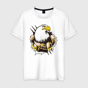 Мужская футболка хлопок с принтом Орел 3D в Екатеринбурге, 100% хлопок | прямой крой, круглый вырез горловины, длина до линии бедер, слегка спущенное плечо. | eagle | орел | орленок | орлиный взгляд | птица | птичка | хищная птица