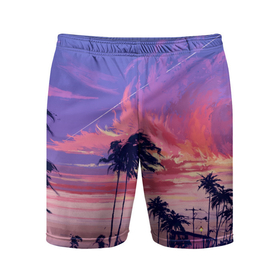 Мужские шорты спортивные с принтом Пейзаж ,  |  | америка | закат | летний | лето | майами | море | пальмы | пейзаж | пляж | рассвет