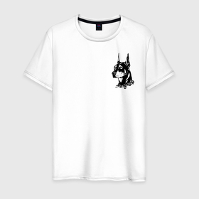Мужская футболка хлопок с принтом Doberman в Белгороде, 100% хлопок | прямой крой, круглый вырез горловины, длина до линии бедер, слегка спущенное плечо. | Тематика изображения на принте: dog | streetwear | доберман | ошейник | собака