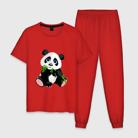 Мужская пижама хлопок с принтом Банда с бамбуком  в Тюмени, 100% хлопок | брюки и футболка прямого кроя, без карманов, на брюках мягкая резинка на поясе и по низу штанин
 | Тематика изображения на принте: бамбук | банда с бамбуком | животное | медведь | медвежонок | панда