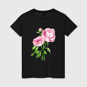 Женская футболка хлопок с принтом Букет пионов , 100% хлопок | прямой крой, круглый вырез горловины, длина до линии бедер, слегка спущенное плечо | peonies | peony | акварель | букет | букетик | пион | пионы | рисунок | цветок | цветочки | цветочный | цветы