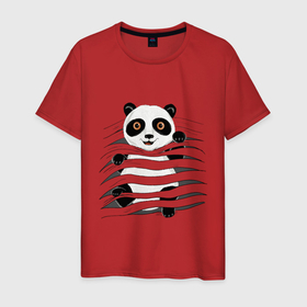 Мужская футболка хлопок с принтом МАЛЫШ ПАНДА в Екатеринбурге, 100% хлопок | прямой крой, круглый вырез горловины, длина до линии бедер, слегка спущенное плечо. | baby | bear | china | honey | little | panda | sweet | texture | иллюзия | китай | малыш | медведь | милый | мишка | няшка | панда | текстуры