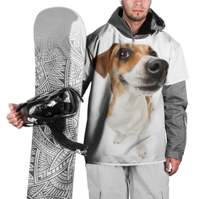 Накидка на куртку 3D с принтом Собака в Санкт-Петербурге, 100% полиэстер |  | dog | джек | джек рассел | джек рассел терьер | дог | домашние животные | рассел | рассел терьер | собака | собаки | терьер
