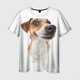 Мужская футболка 3D с принтом Собака в Новосибирске, 100% полиэфир | прямой крой, круглый вырез горловины, длина до линии бедер | dog | джек | джек рассел | джек рассел терьер | дог | домашние животные | рассел | рассел терьер | собака | собаки | терьер