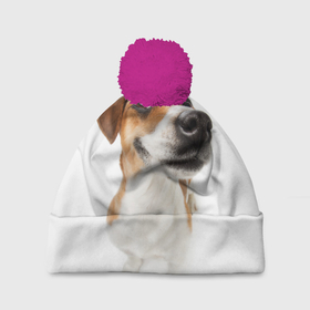Шапка 3D c помпоном с принтом Собака в Тюмени, 100% полиэстер | универсальный размер, печать по всей поверхности изделия | dog | джек | джек рассел | джек рассел терьер | дог | домашние животные | рассел | рассел терьер | собака | собаки | терьер